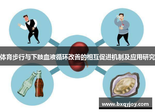 体育步行与下肢血液循环改善的相互促进机制及应用研究 体育步行与下肢血液循环改善的相互促进机制及应用研究